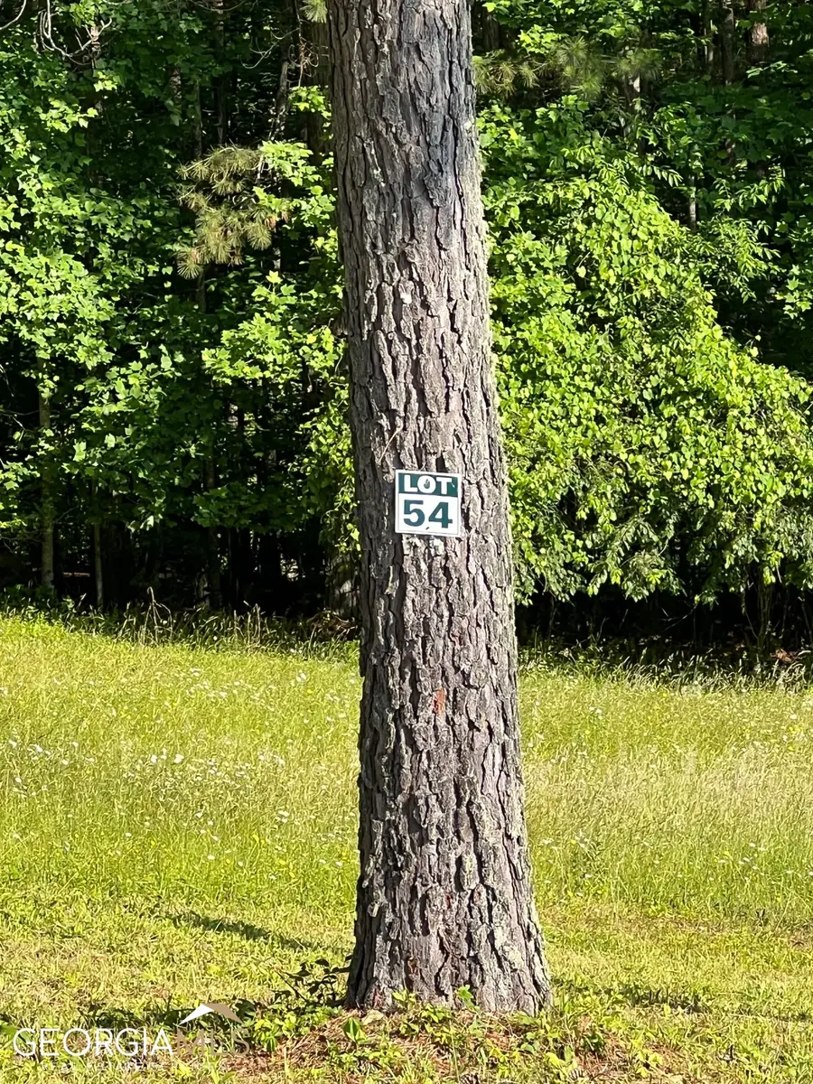 LT 54 Pinehurst Road, Blairsville, GA 30512 - #2