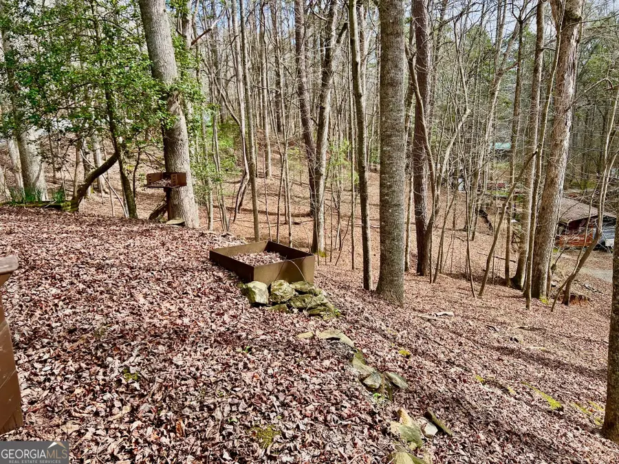 985 Ogden Drive, Ellijay, GA 30540 - #3