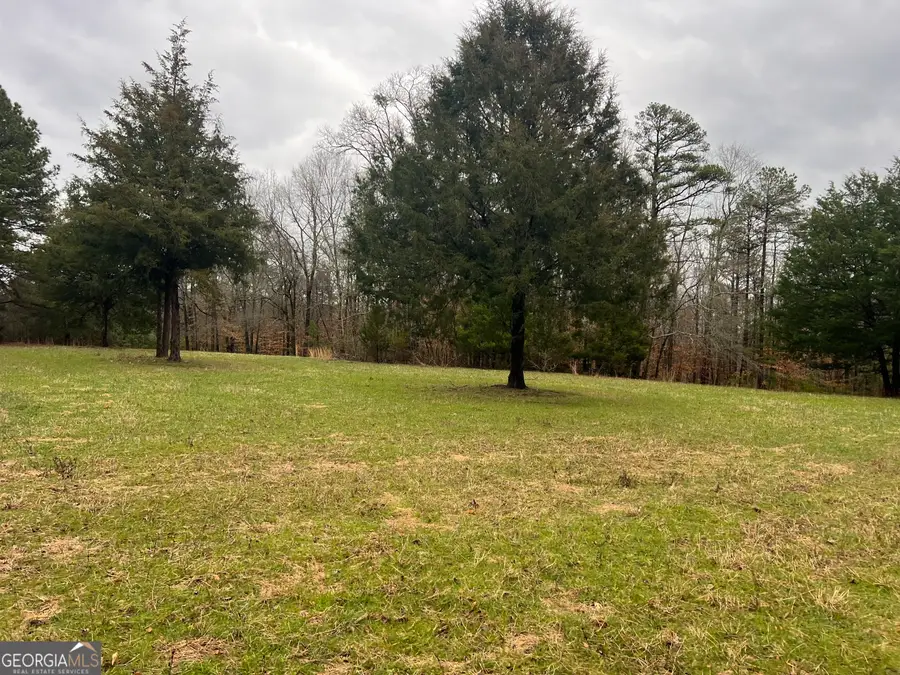 1000 Highway 172, Comer, GA 30629 - #3