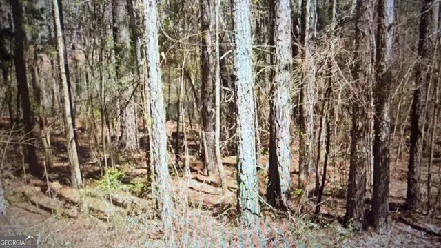 0 Wadley Street, Greenville, GA 30222 - #3