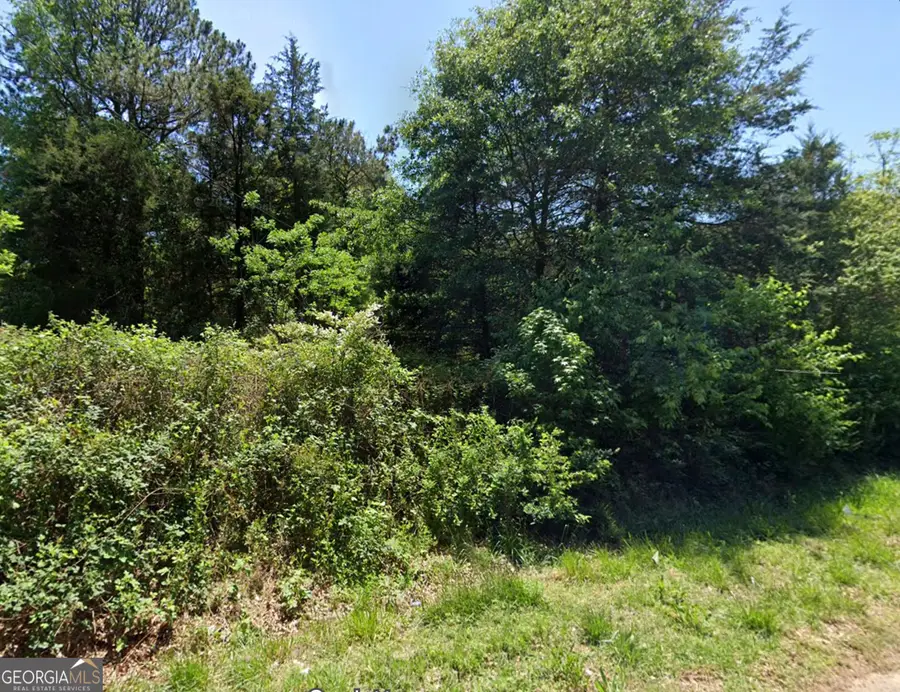 825 Robert Reid Road, Royston, GA 30662 - #3