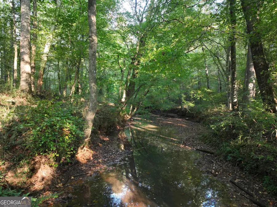 0 Shady Grove Rd, Carrollton, GA 30116 - #2