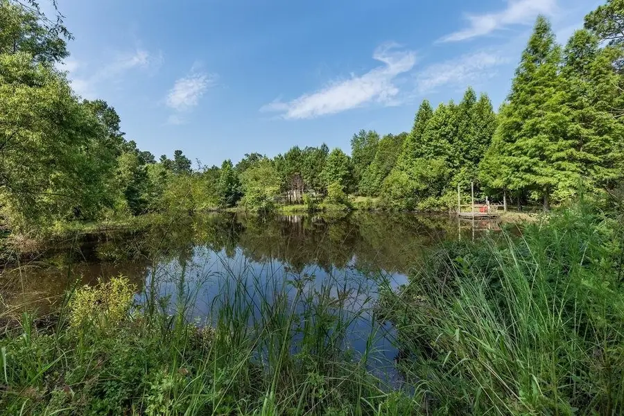 3127 Buttermilk Road, Sylvania, GA 30467 - #3