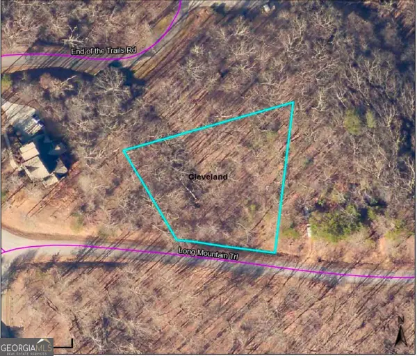 LOT 21 Long Mountain Trail, Cleveland, GA 30528