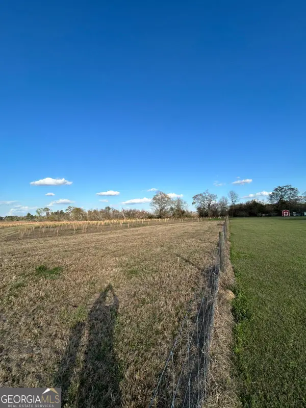 0 Scotts Store Road, Millen, GA 30442