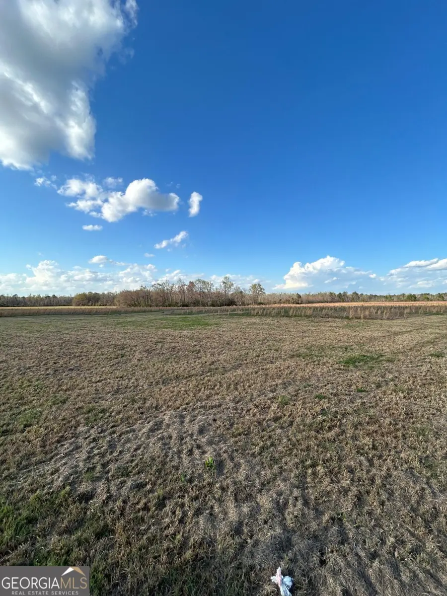 0 Scotts Store Road, Millen, GA 30442 - #3