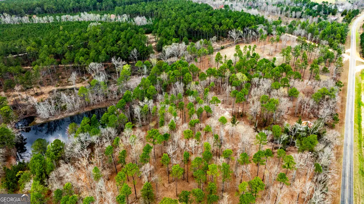 0 Cowart Pond Road, Metter, GA 30439 - #1