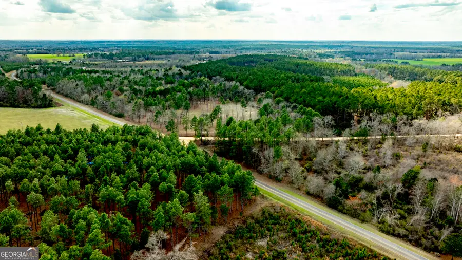 0 Cowart Pond Road, Metter, GA 30439 - #2