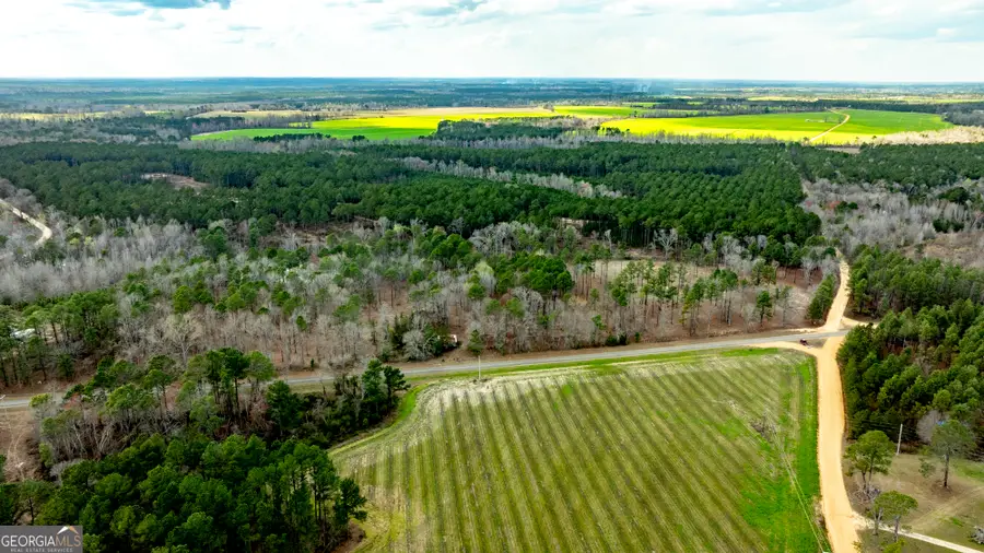 0 Cowart Pond Road, Metter, GA 30439 - #3