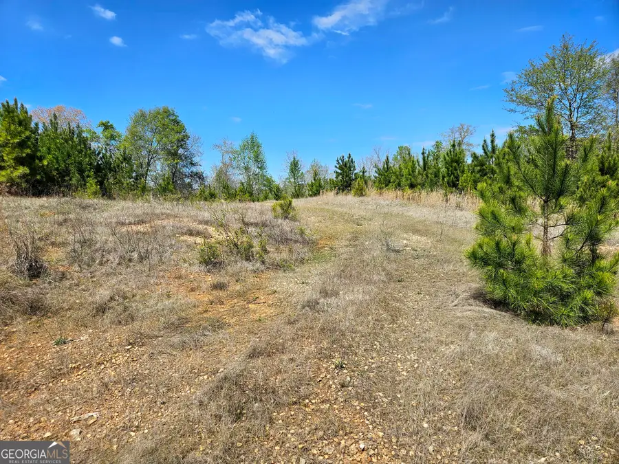 600 Mountain Brook Road, Fortson, GA 31808 - #2