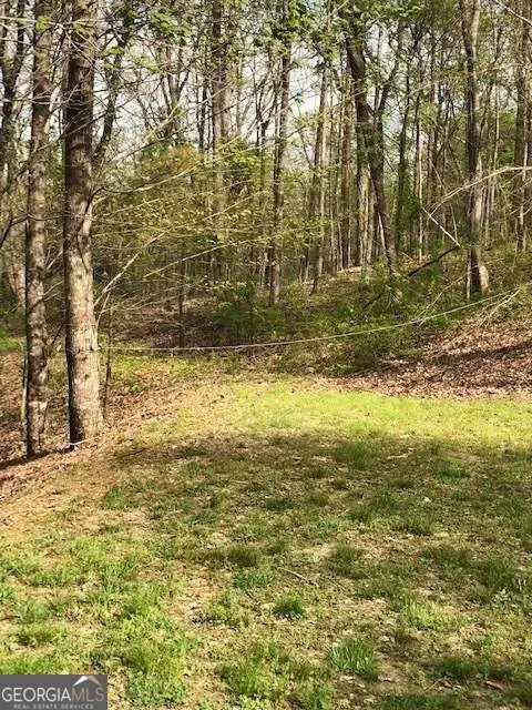 LT 17B Lakeland Drive, Ellijay, GA 30540 - #1