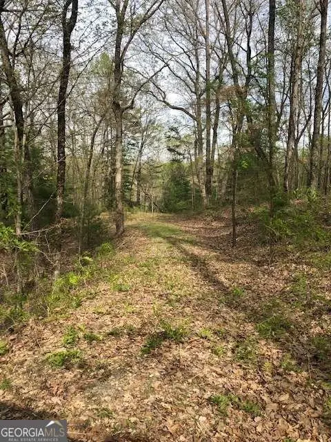 LT 17B Lakeland Drive, Ellijay, GA 30540 - #3