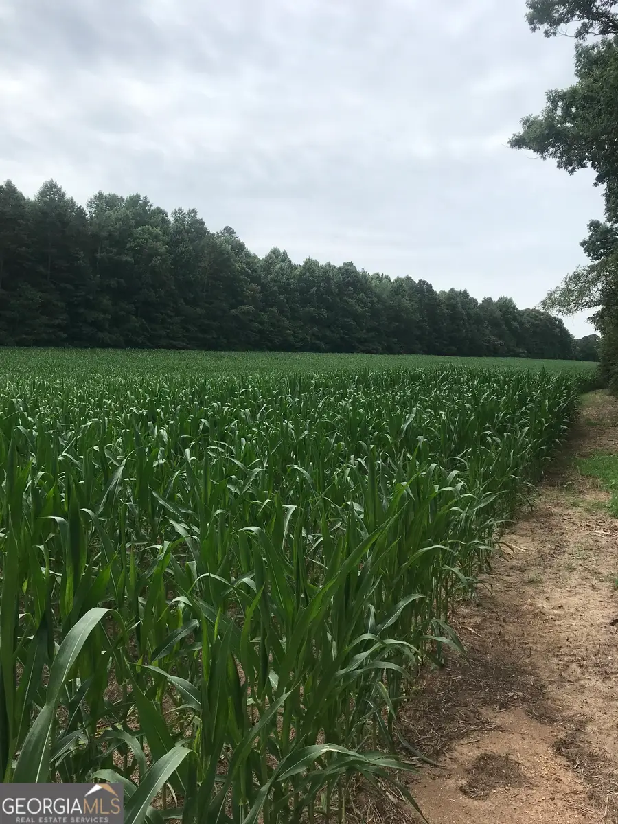 0 Cleveland Hwy, Cohutta, GA 30710 - #2