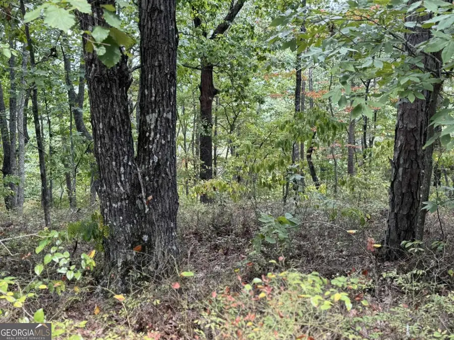 1417 Foxhound Trail Ne, Ranger, GA 30734 - #2