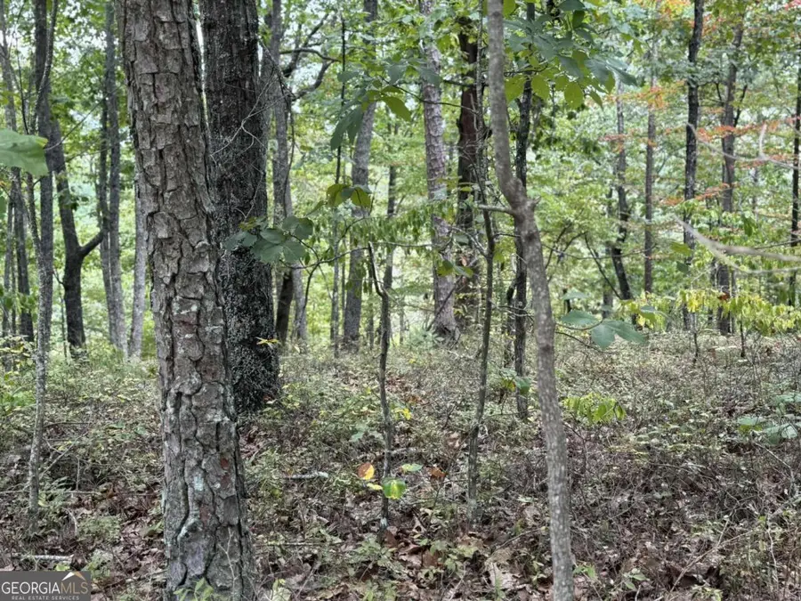 1417 Foxhound Trail Ne, Ranger, GA 30734 - #3