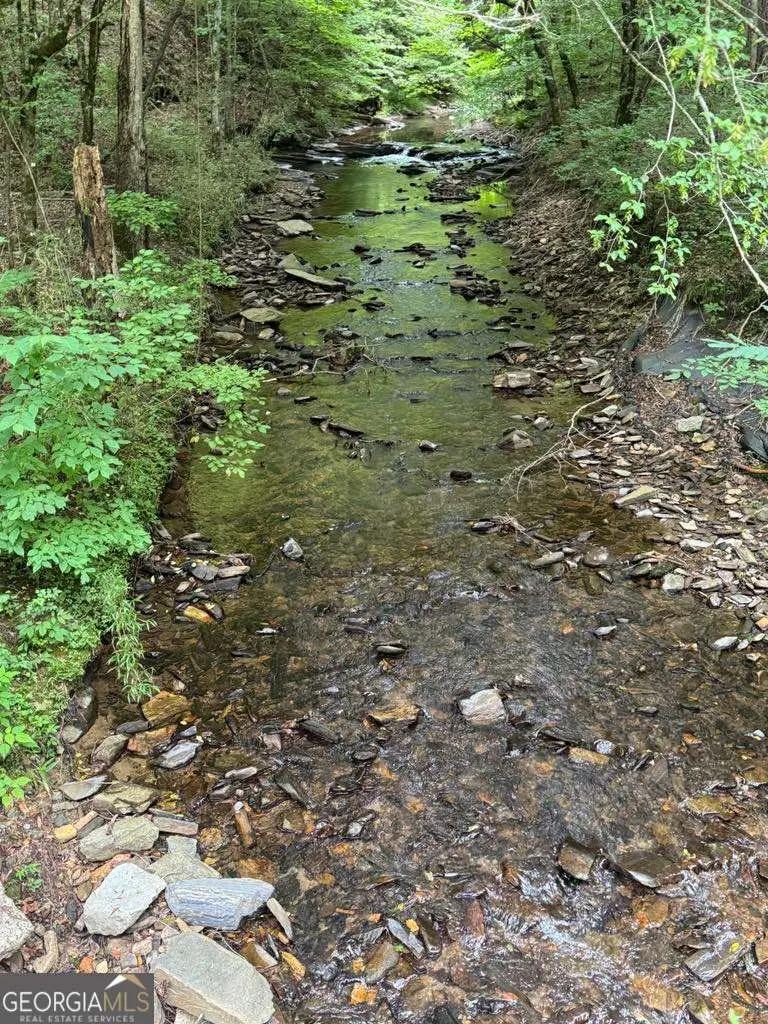 1634 Carman Way, Ranger, GA 30734 - #2