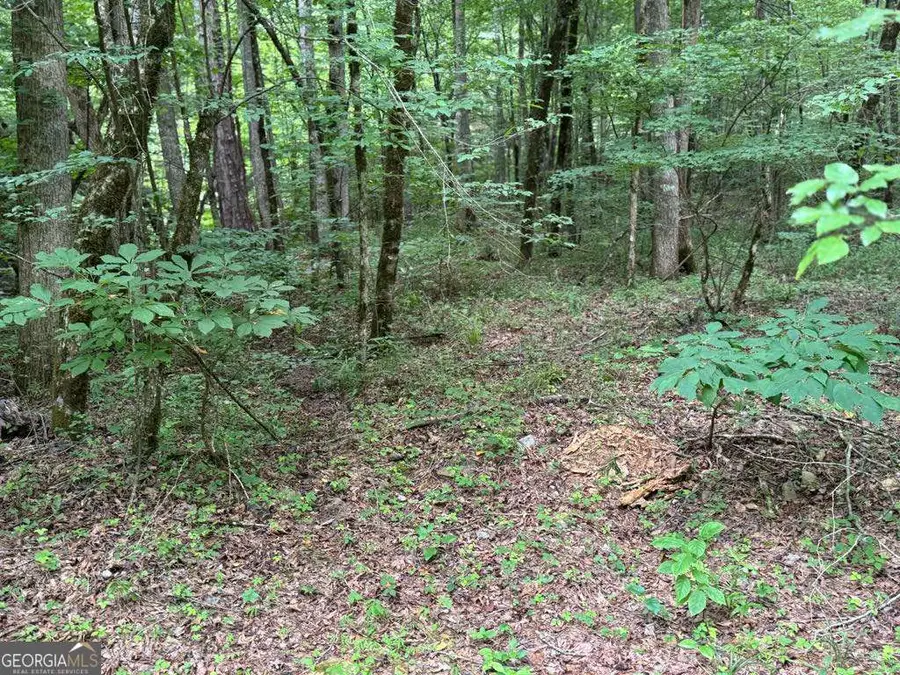 1634 Carman Way, Ranger, GA 30734 - #3