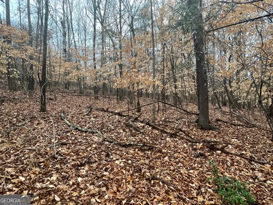 LOT 942 Birdie Court, Westminster, SC 29693 - #2