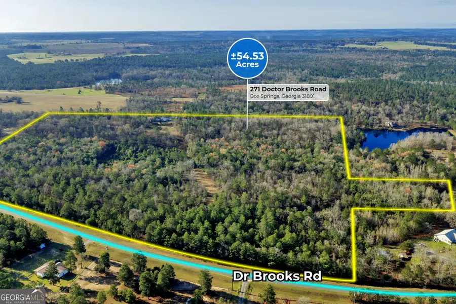 271 Dr Brooks Road, Box Springs, GA 31801 - #2