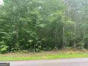 130 N Morgan Dr, Griffin, GA 30223 - #2