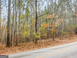 130 N Morgan Dr, Griffin, GA 30223 - #3