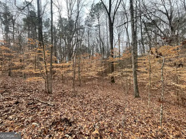 0 Us Hwy 100, Franklin, GA 30217