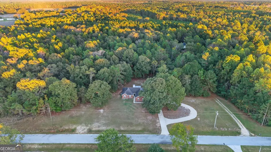 5555 Carlton Lane, Garfield, GA 30425 - #2
