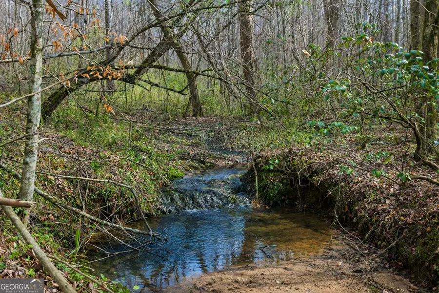 2325 Stonepile Road #LOT 3, Clarkesville, GA 30523 - #3