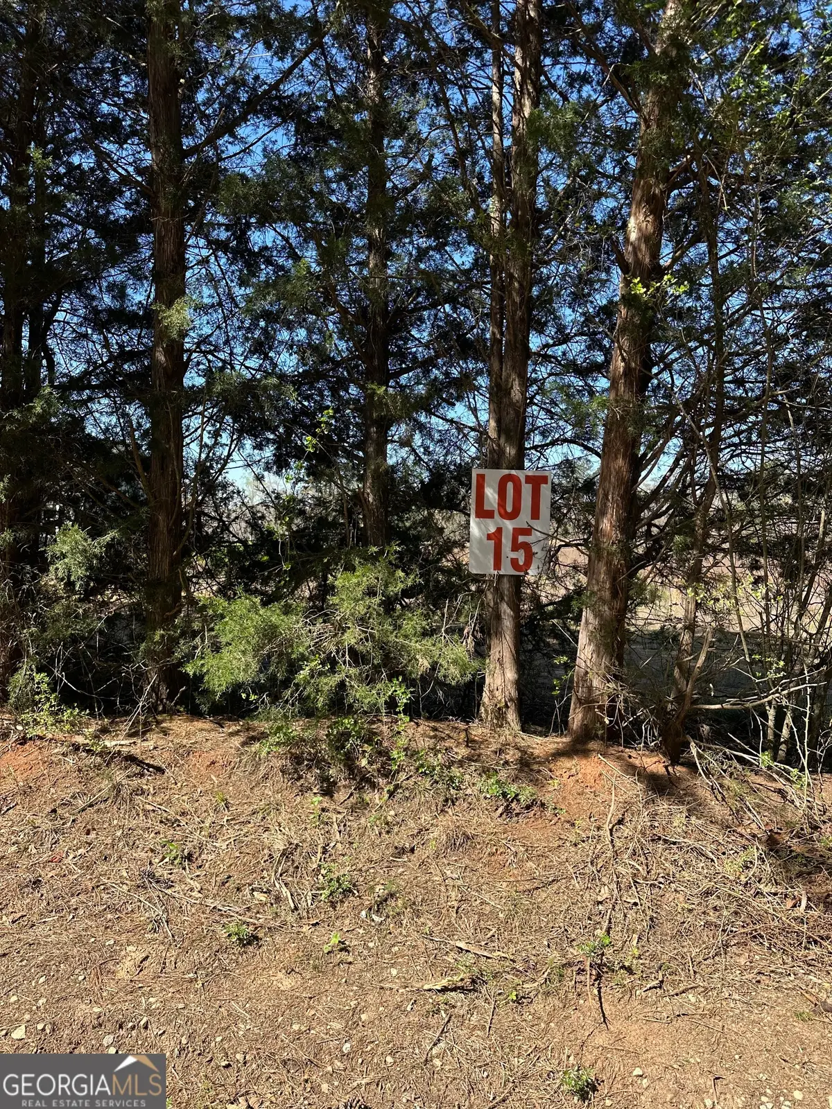 139 Oak Road #LOT 16, Locust Grove, GA 30248 - #1