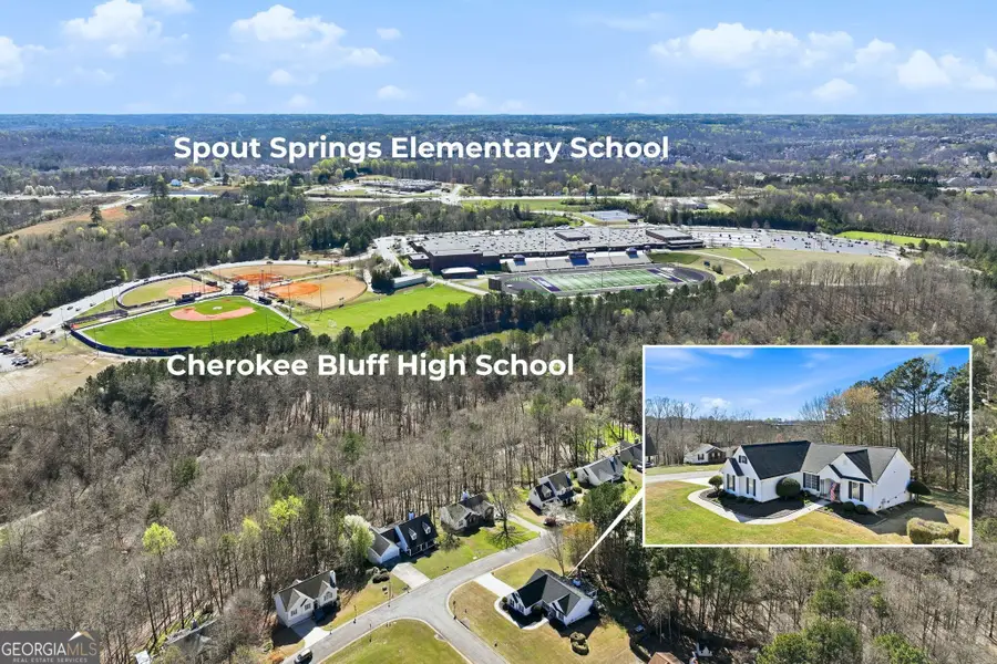 5551 Chestnut Creek Lane, Flowery Branch, GA 30542 - #2