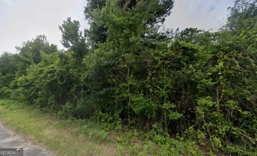 7072 Chant Road, Lizella, GA 31052 - #2