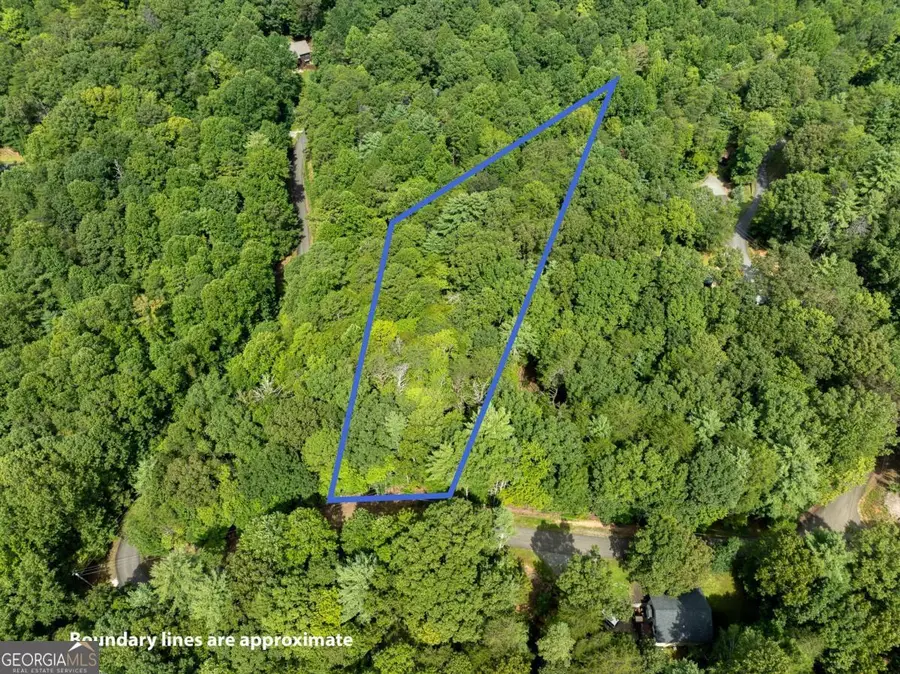 LOT 272 Seneca Drive, Ellijay, GA 30540 - #3