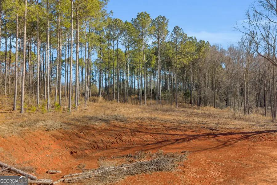 0 Noah Crow Road, Royston, GA 30662 - #2