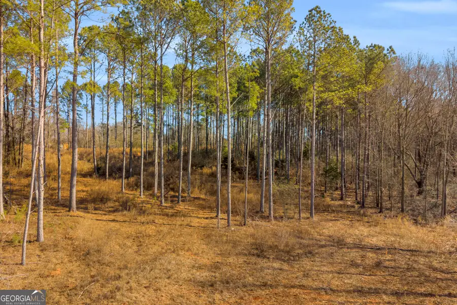 0 Noah Crow Road, Royston, GA 30662 - #3