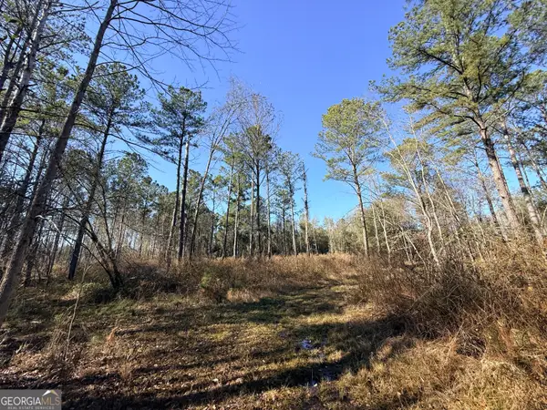 4 Sun Hill Grange Road, Davisboro, GA 31018