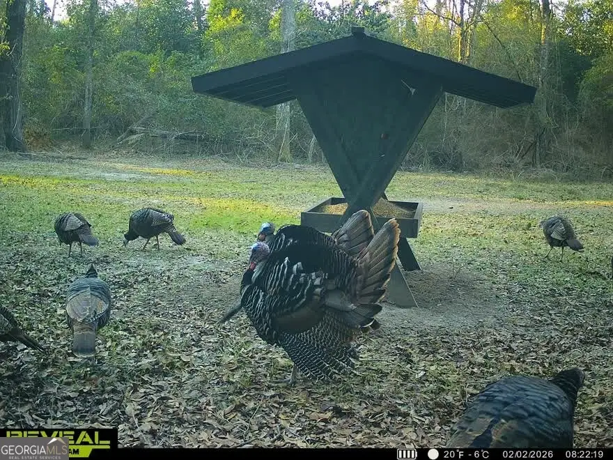 0 Charles Street, Vienna, GA 31092 - #1