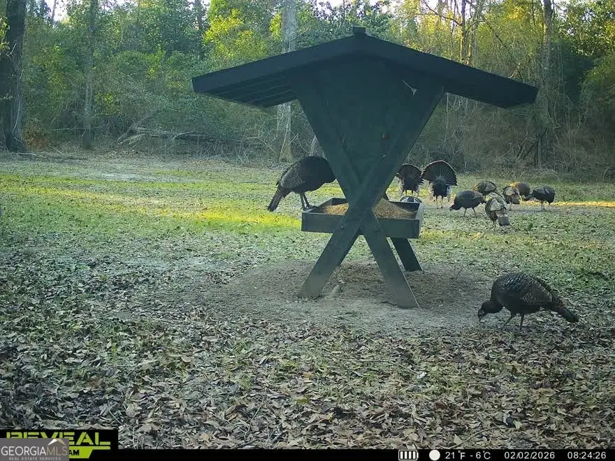 0 Charles Street, Vienna, GA 31092 - #2