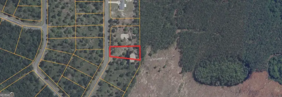 0 Big Horse Drive #84, Waynesville, GA 31566 - #2