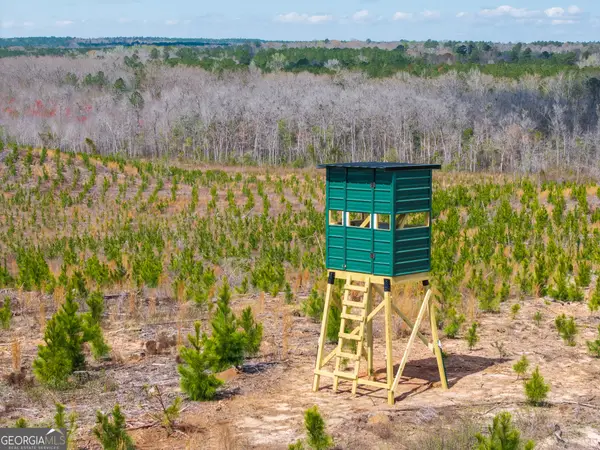 3 Laurel Branch Road, Gordon, GA 31031