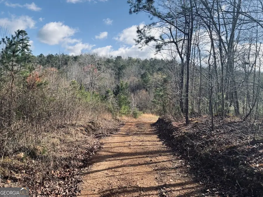 0 County Road 709, Valley Head, AL 35989 - #3