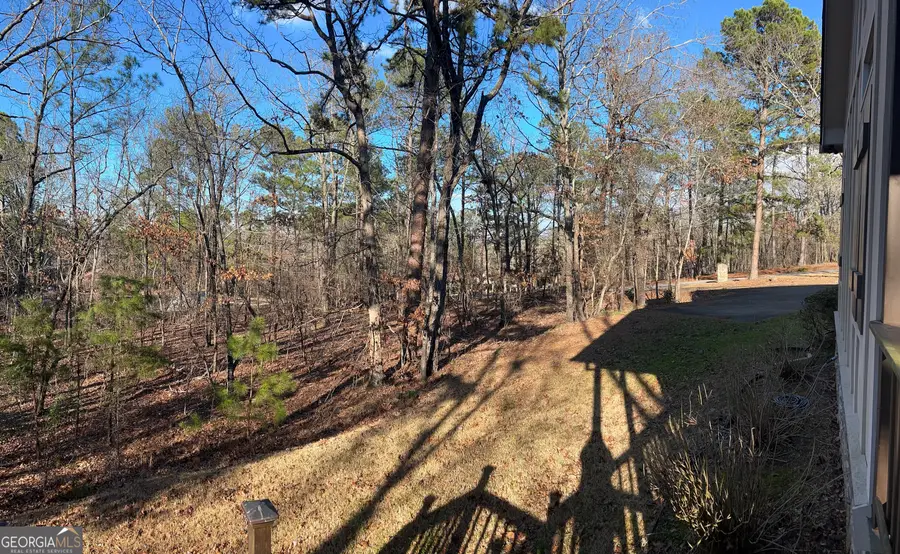 731 Jenni Lane, Manchester, GA 31816 - #3