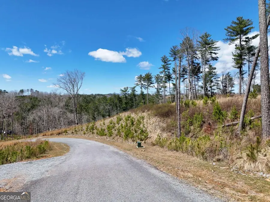 LOT 253 High River Crossing, Ellijay, GA 30540 - #3