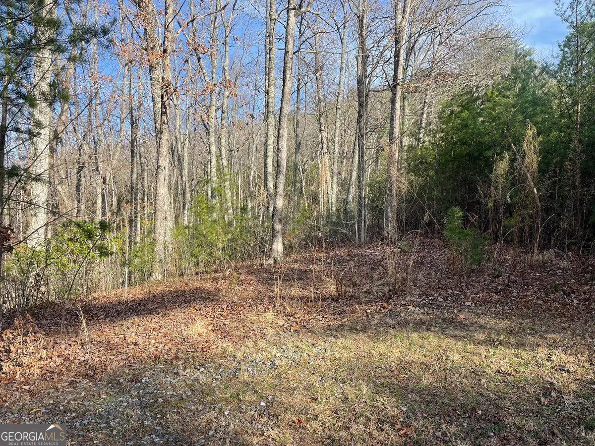 LOT 14 Big Cove Dr, Hiawassee, GA 30546 - #1