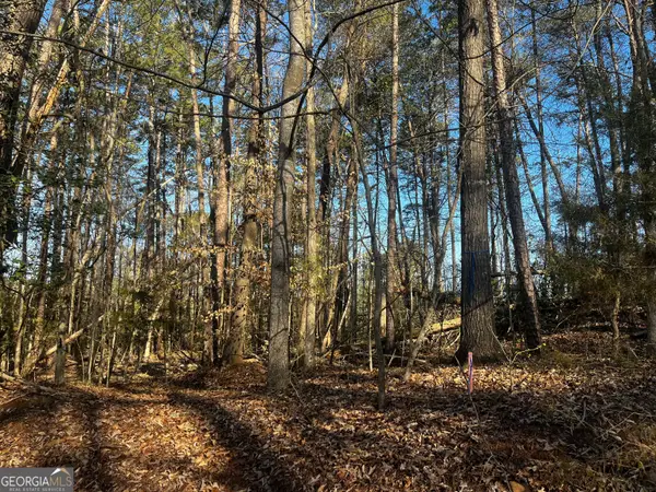 0 Alpine Way, Lavonia, GA 30553