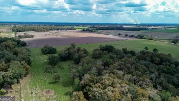 1 County Line Church Road, Colquitt, GA 39837