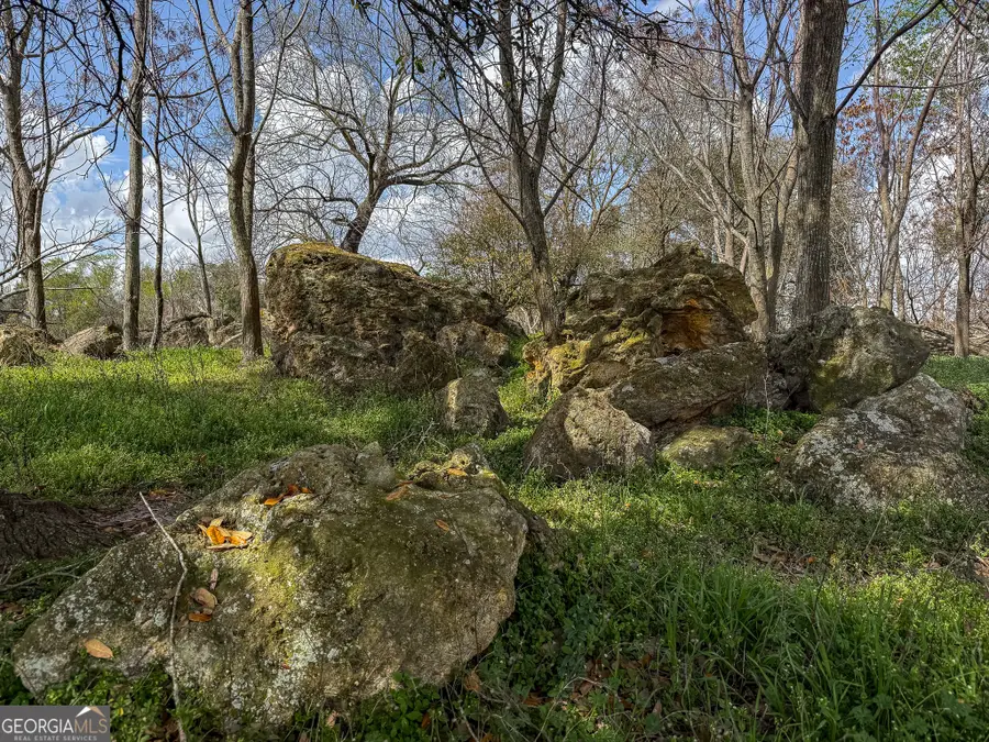 1 County Line Church Road, Colquitt, GA 39837 - #3