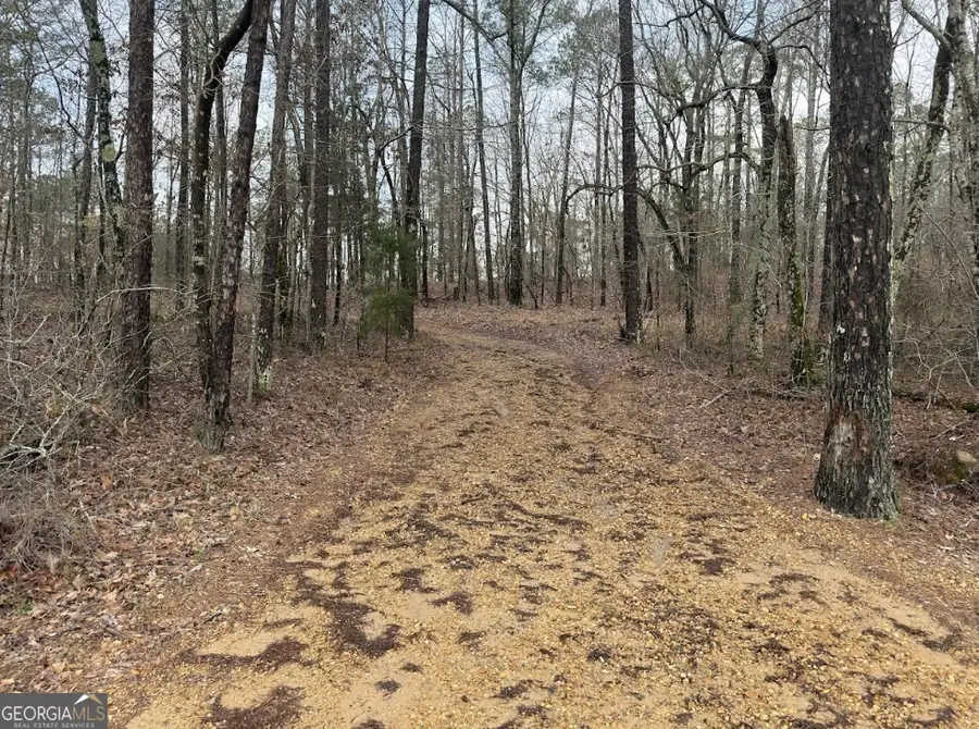 0 Otts Road, Fayette, AL 35555 - #3