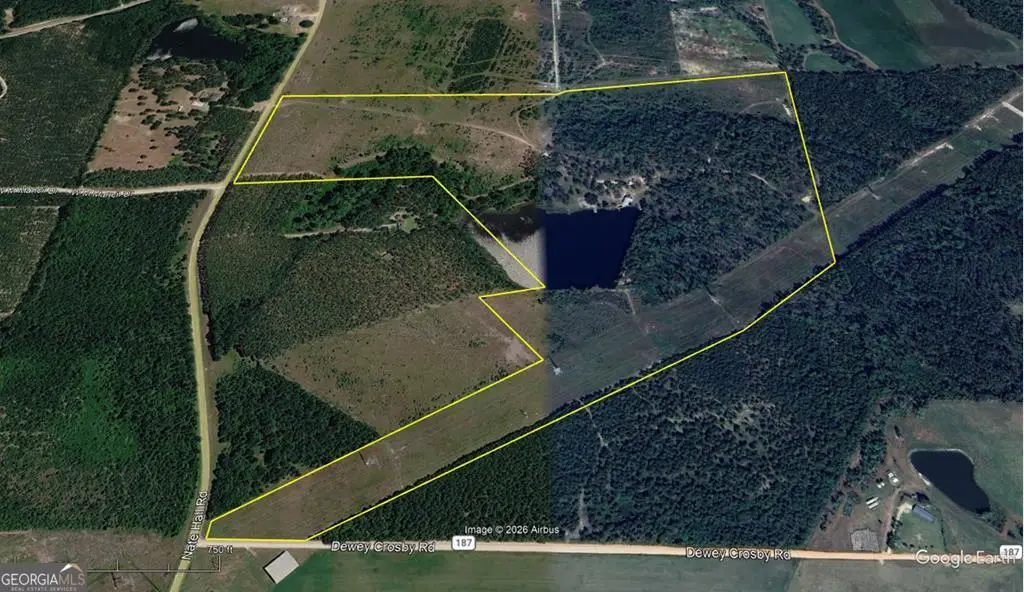 0 Hammond Powell Road, Hazlehurst, GA 31539 - #1