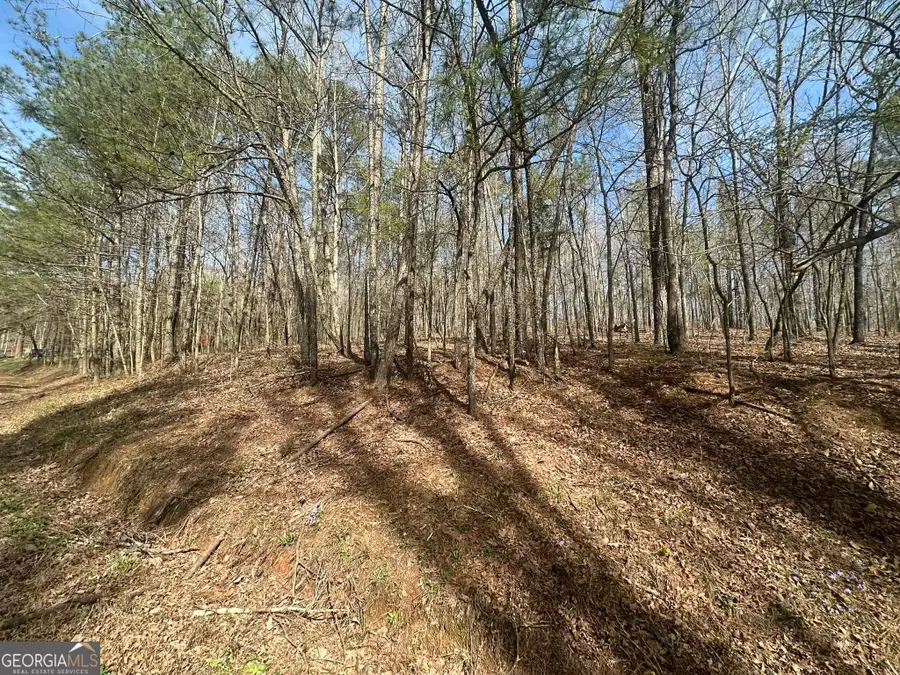 134 Bankston Road, Meansville, GA 30256 - #3