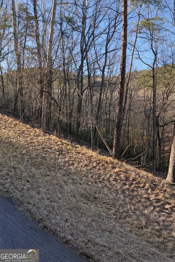 282 Chickasaw Drive, Waleska, GA 30183